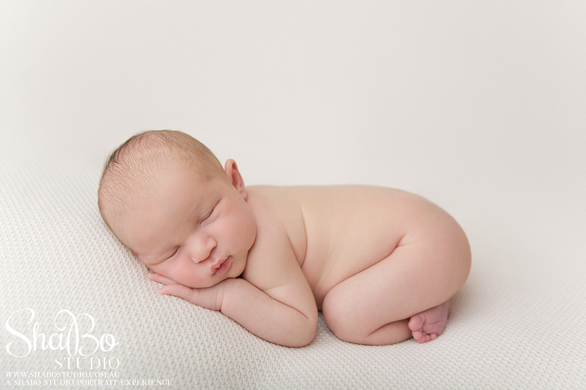 perth newborn photographer ShaBo STUDIO