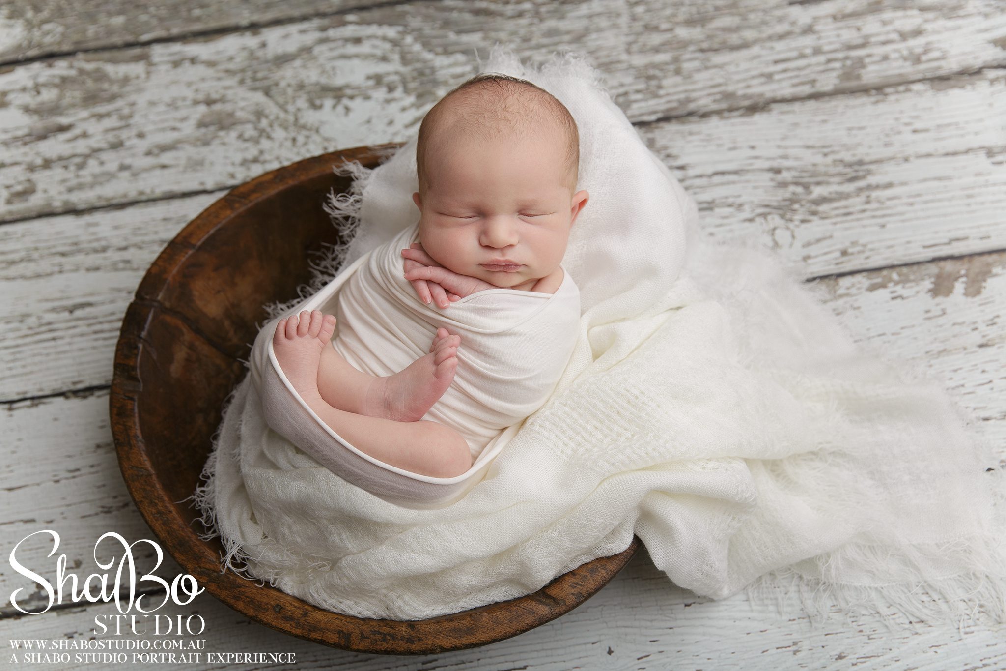 perth newborn photographer ShaBo STUDIO