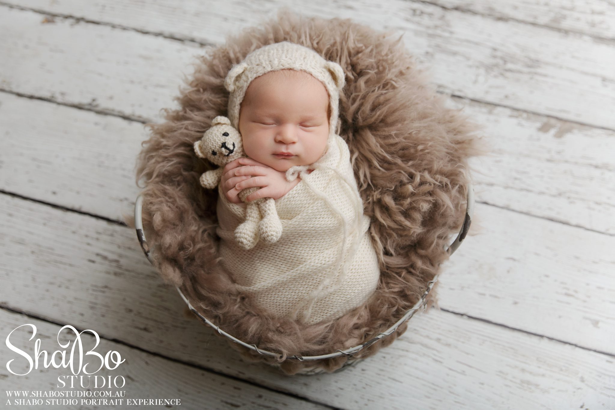 perth newborn photographer ShaBo STUDIO