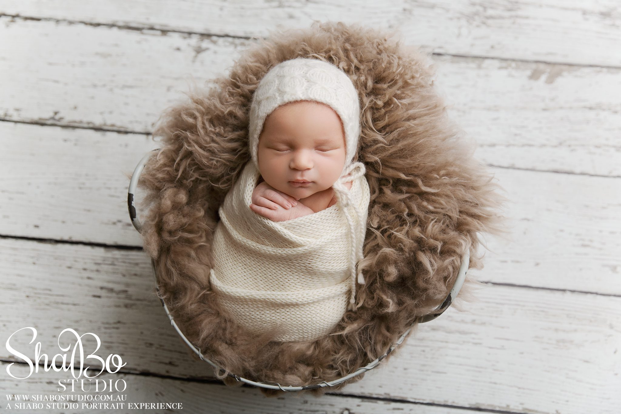 perth newborn photographer ShaBo STUDIO