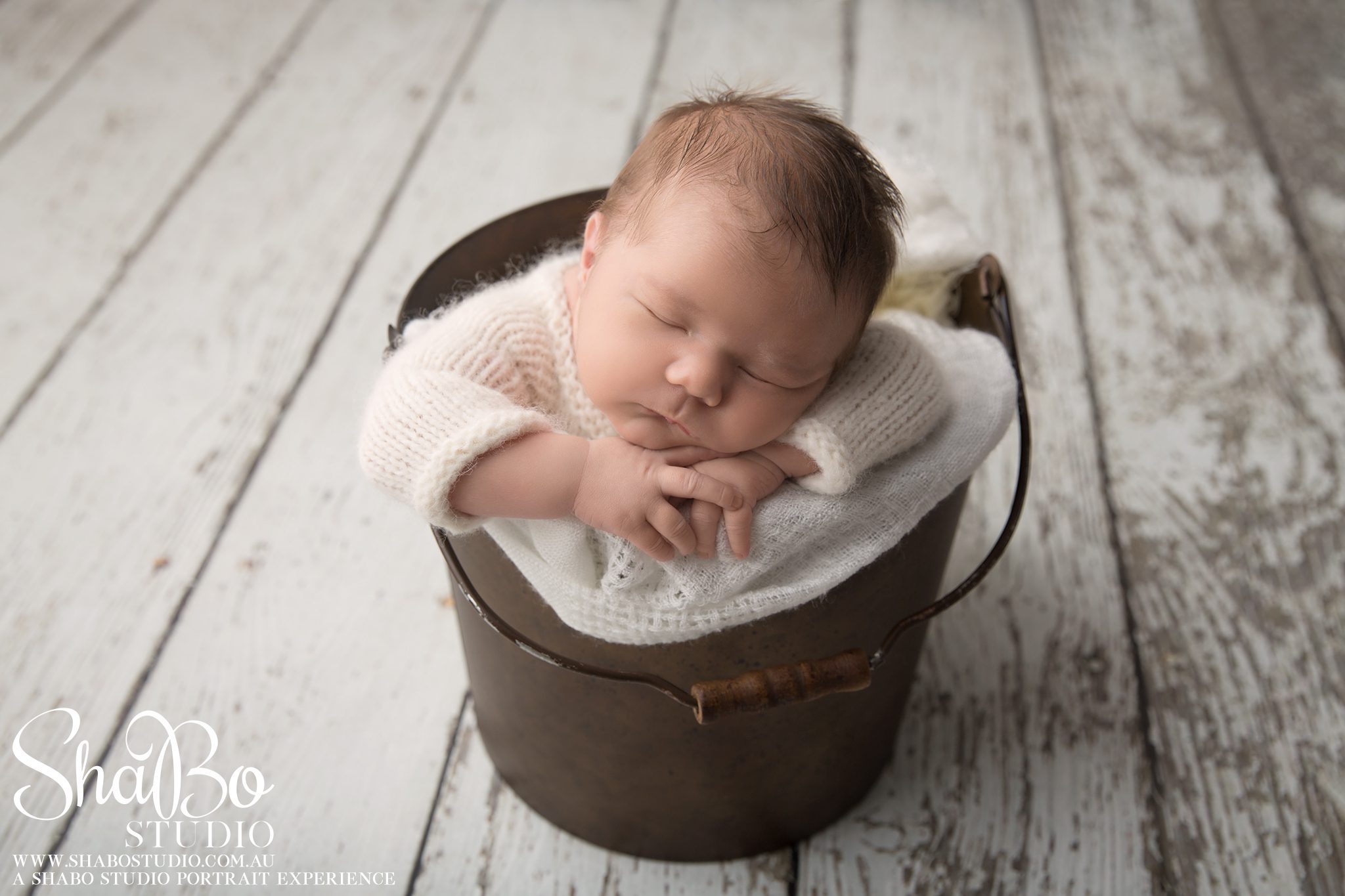 perth newborn photographer ShaBo STUDIO