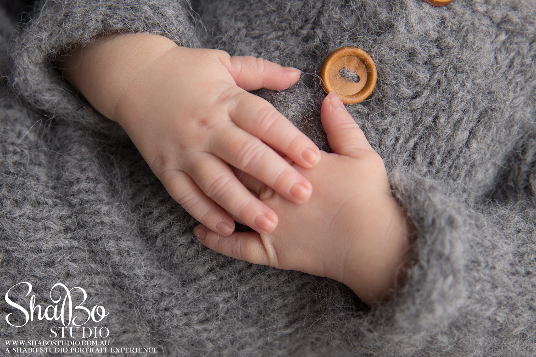 perth newborn photographer ShaBo STUDIO