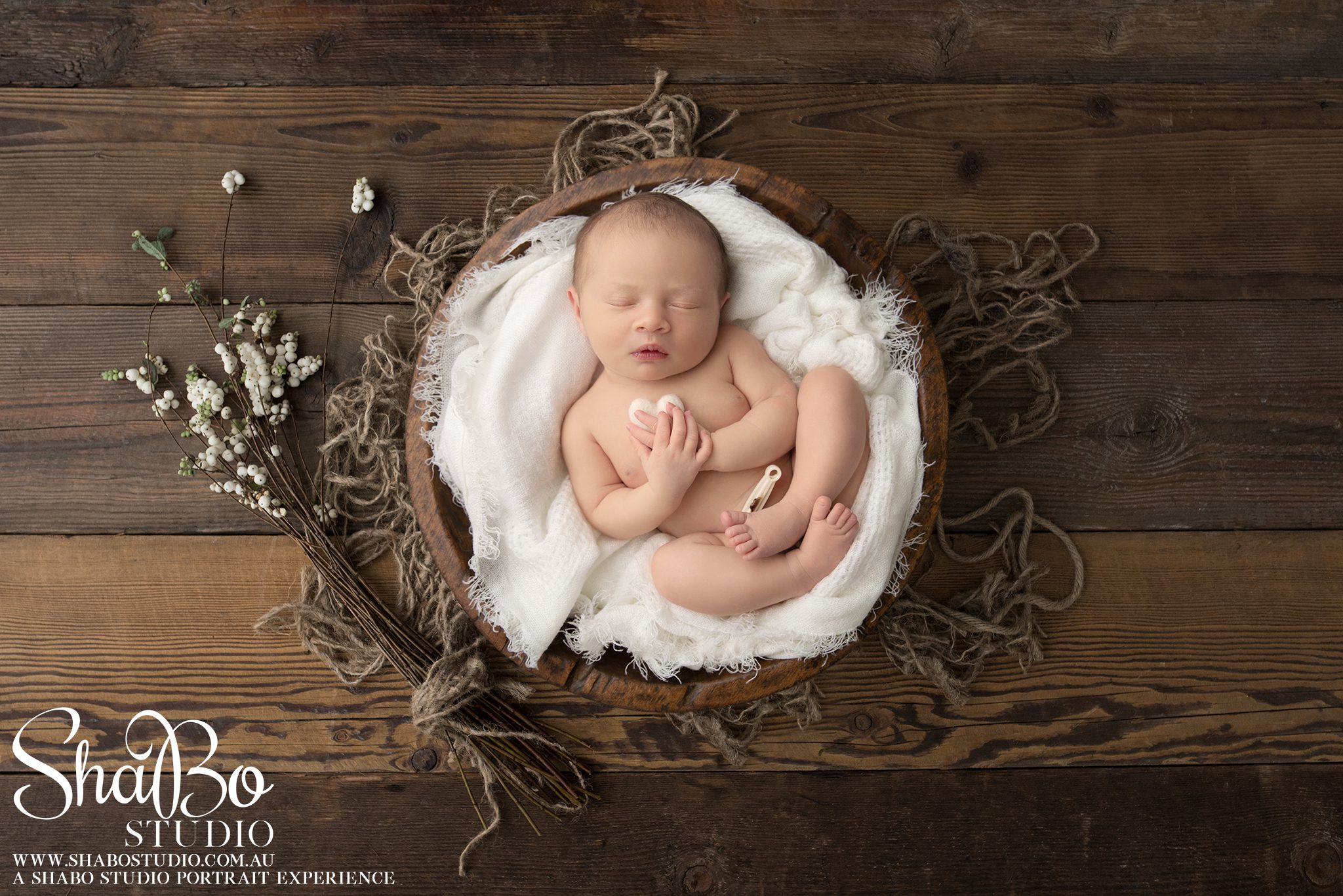 perth newborn photographer ShaBo STUDIO