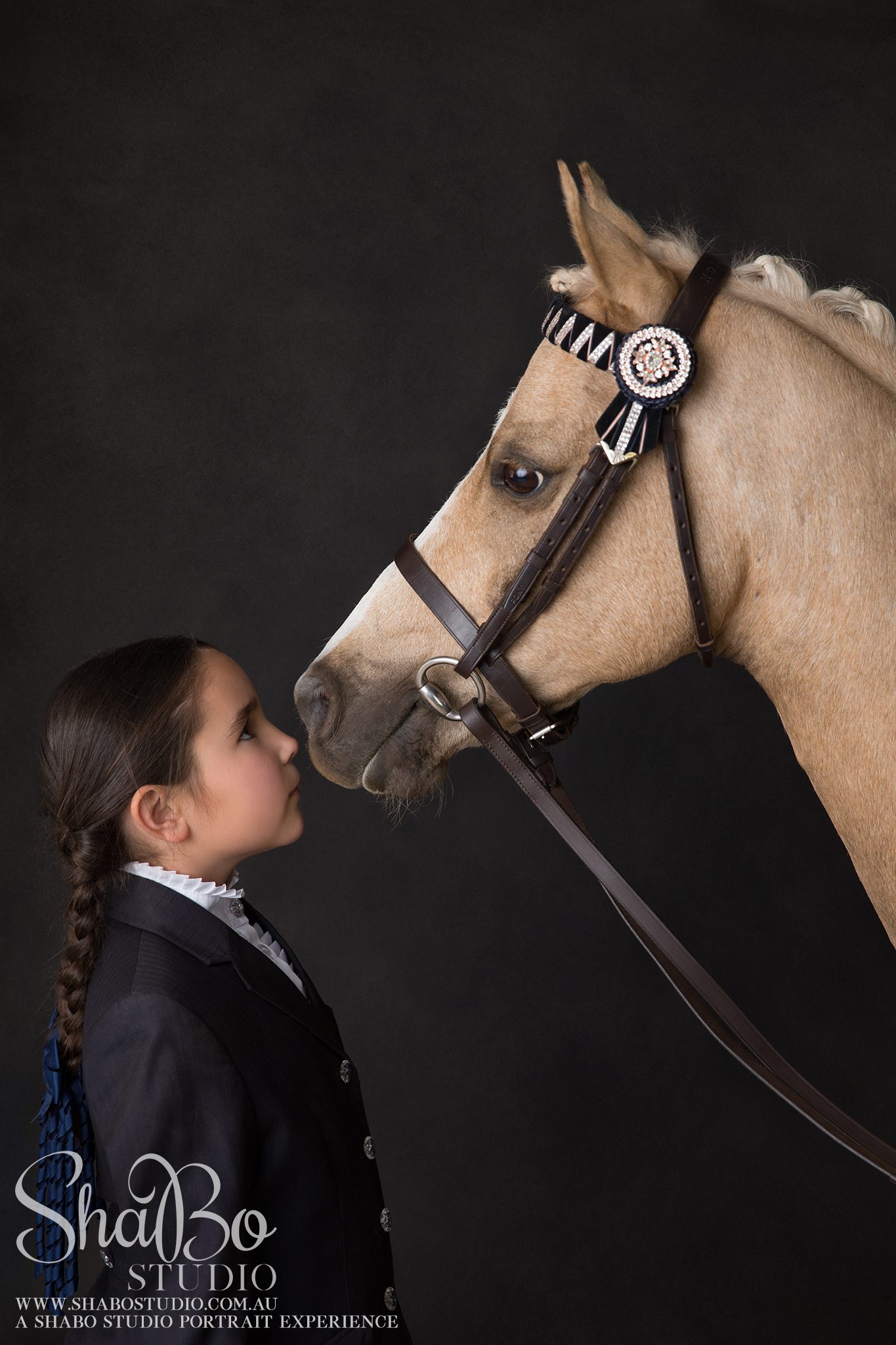 perth equine horse photographer
