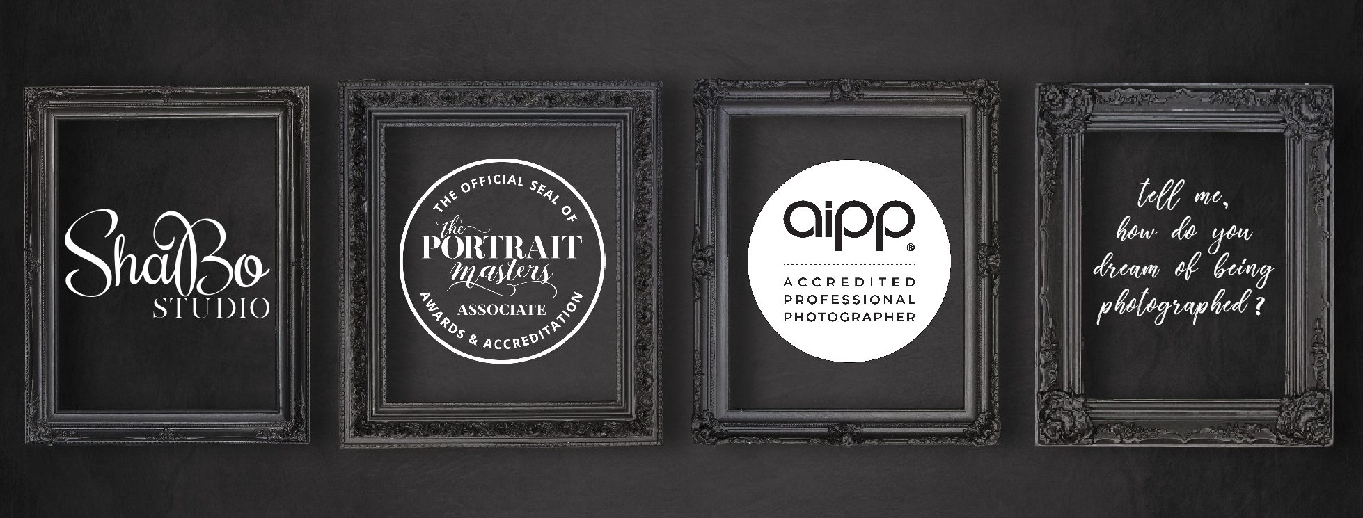 Shabo Studio perth photographer